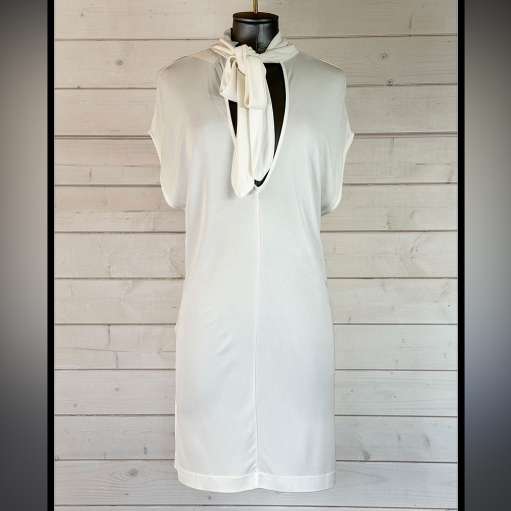 Massimo Dutti Tunic Top/Dress